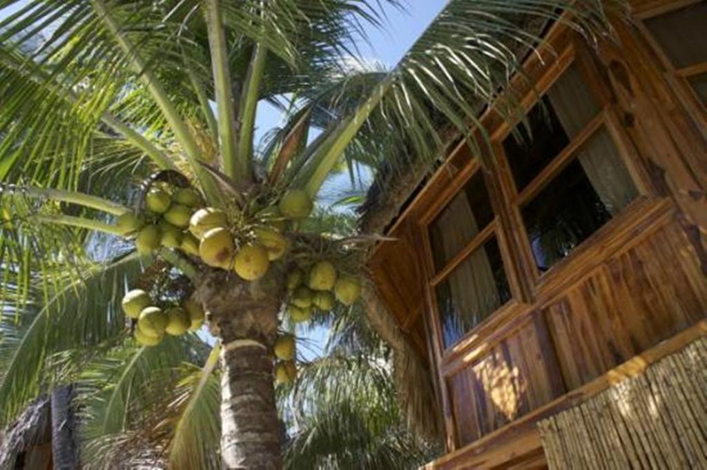 Hotel Tortuga Village San Luis La Herradura Esterno foto